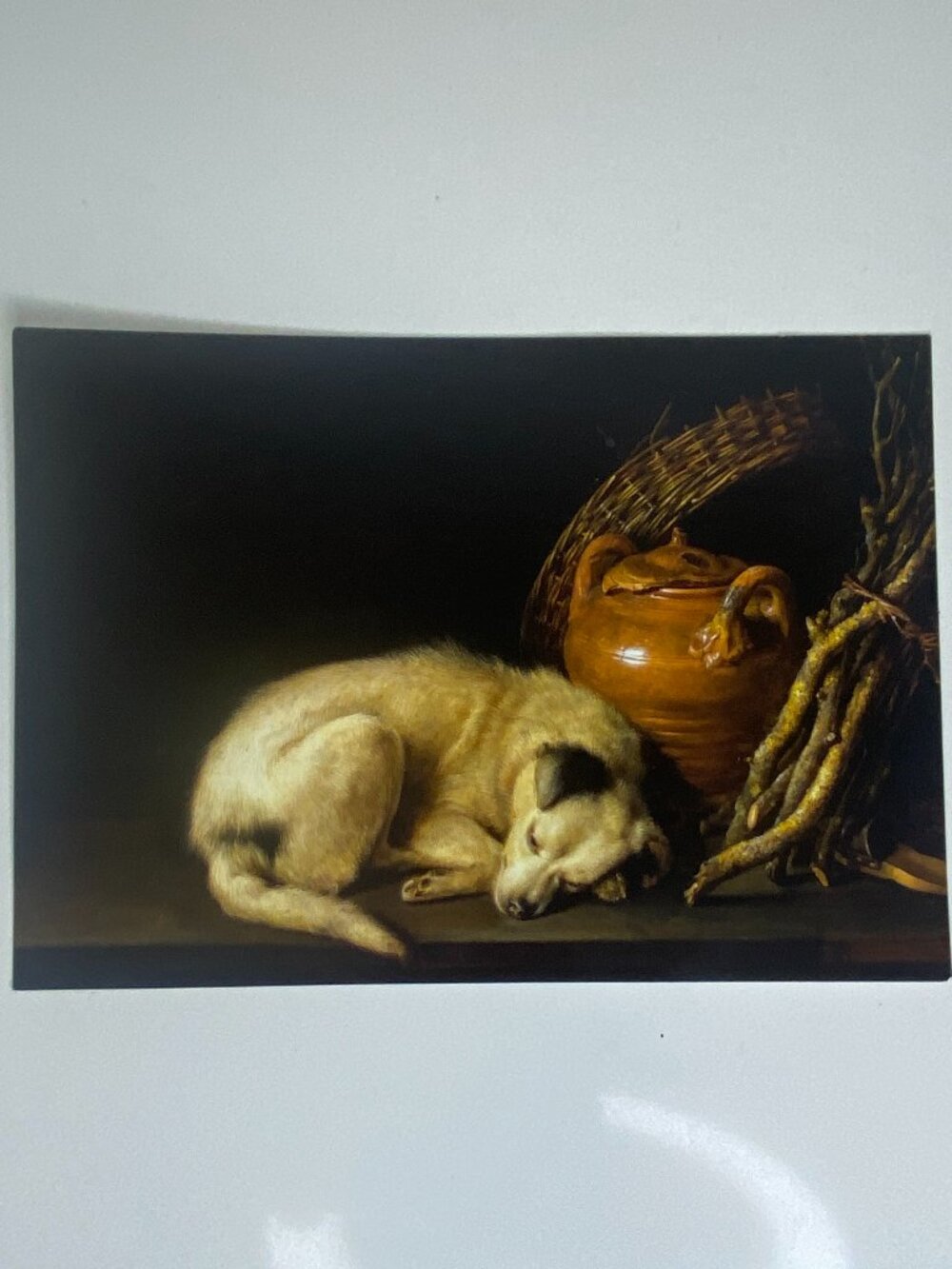 MFA Boston Dog at Rest Gerrit Dou Art Postcard Museum Souvenir
